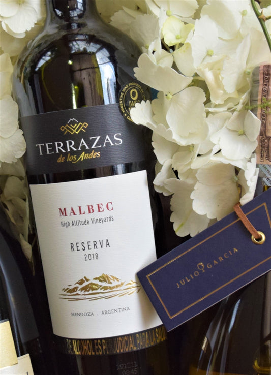 LifeStyle Zafiro Moët Hennessy Terrazas Reserva Malbec 750cc | Julio Garcia