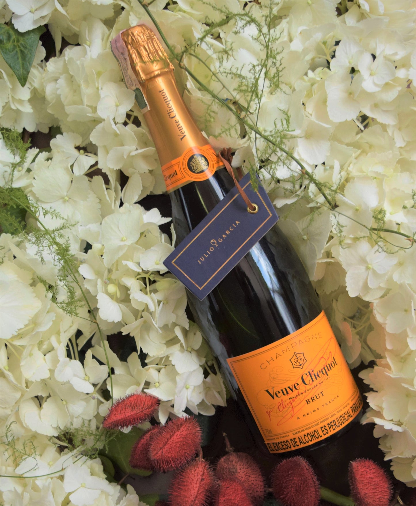 LifeStyle Rubi Champagne Veuve Clicquot Brut 750cc | Julio Garcia